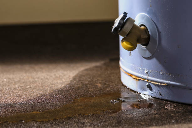 Best Flood damage cleanup  in San Francisco, CA