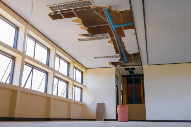 Best Local water damage restoration  in San Francisco, CA