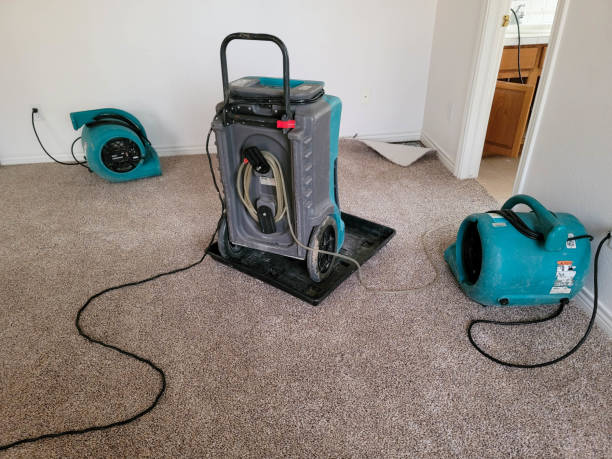 Best 24/7 water damage repair  in San Francisco, CA