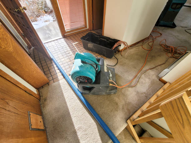 Best Water damage contractors near me  in San Francisco, CA