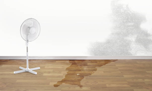 Best Water damage restoration services  in San Francisco, CA