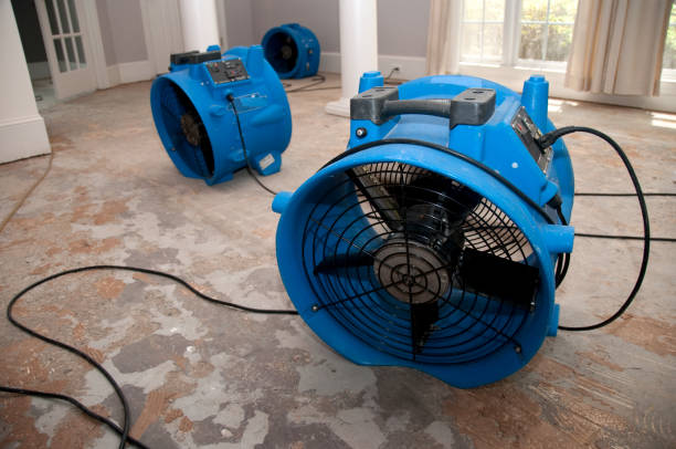 Best Water damage mitigation services  in San Francisco, CA