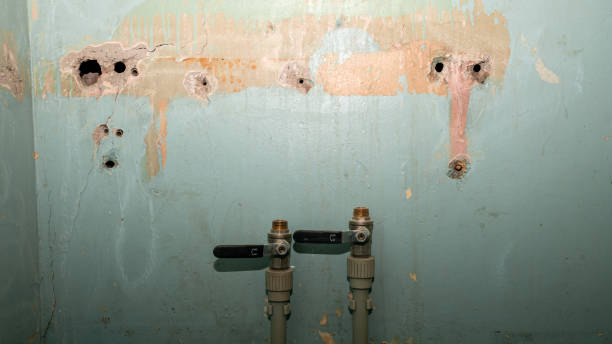 Best Water damage contractors near me  in San Francisco, CA