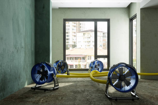 Best Residential water damage restoration  in San Francisco, CA